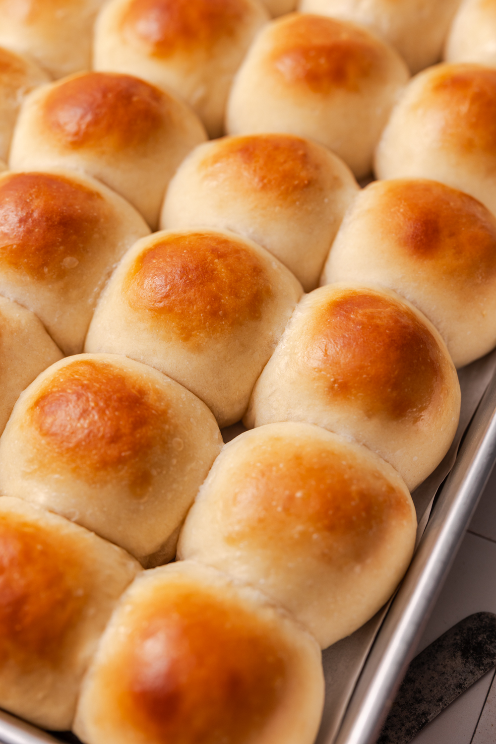 big batch dinner rolls