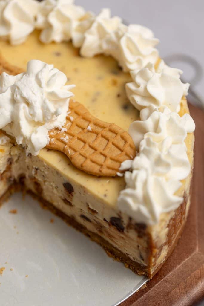 peanut butter chocolate chip cheesecake