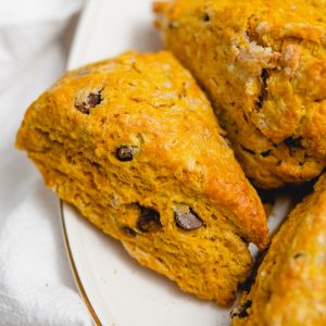 chocolate chip pumpkin scones