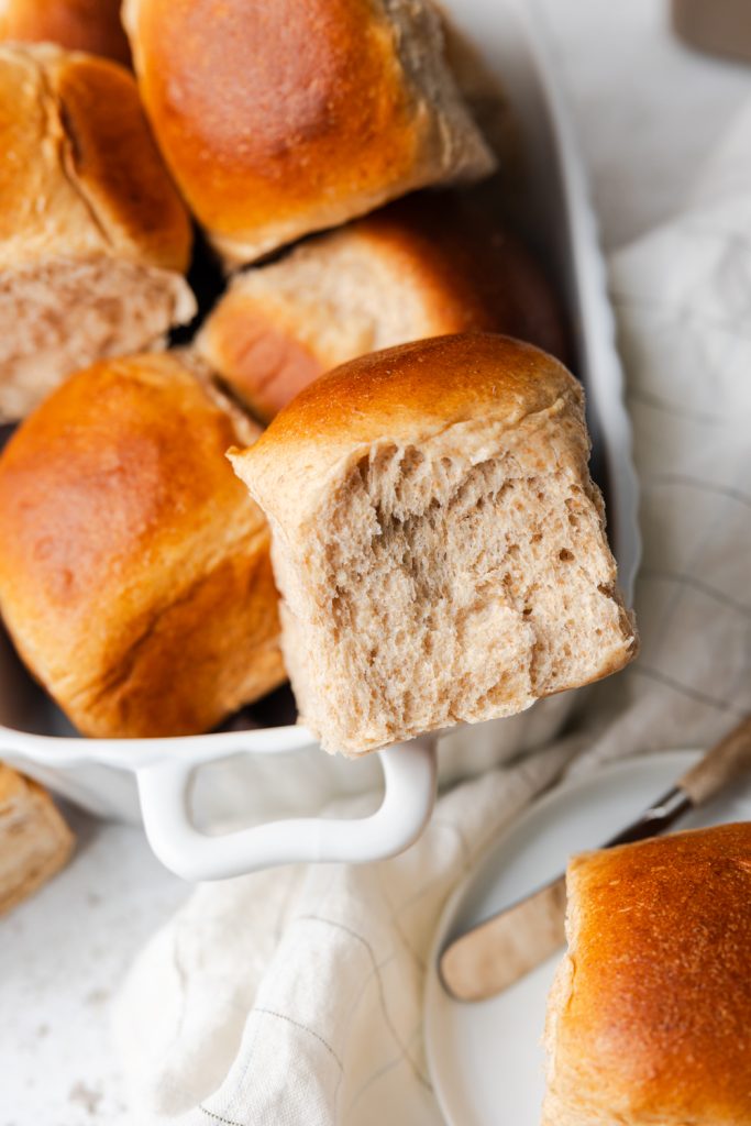 honey wheat dinner rolls